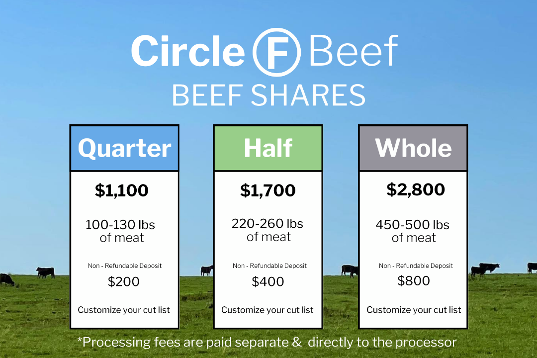 Circle F Beef Shares