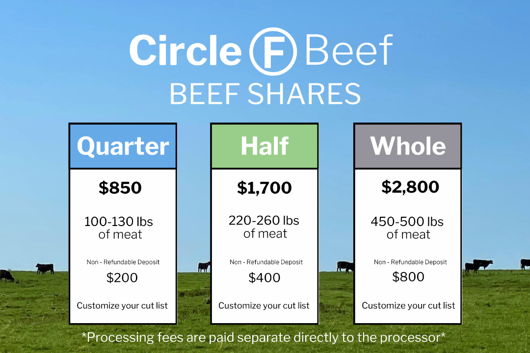 Circle F Beef | Black Angus Beef Shares